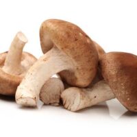Shitake 200g